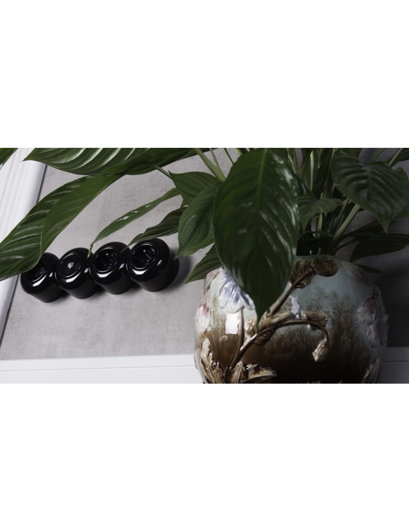 230V-Steckdose mit Schutzkontakt Mittelelement