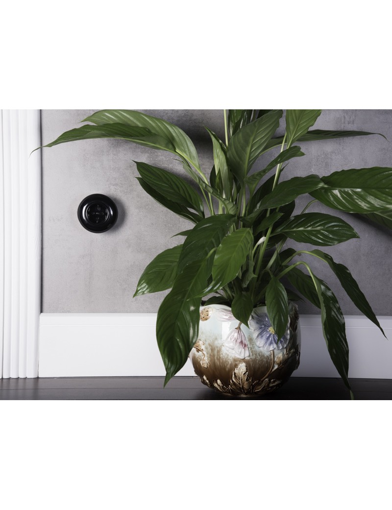 Prise simple 230V Schuko