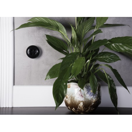 Prise simple 230V Schuko