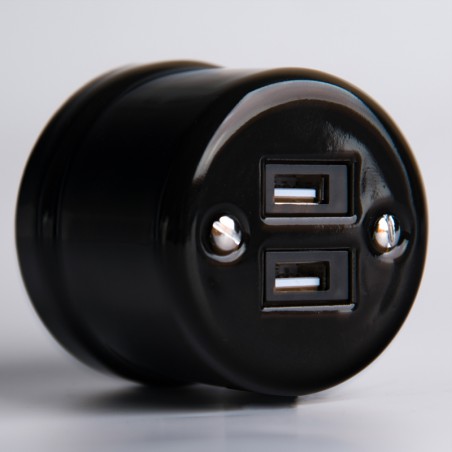Zweifach-USB-Steckdose