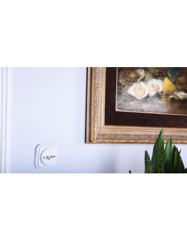 Klingeltaster mit Hebel