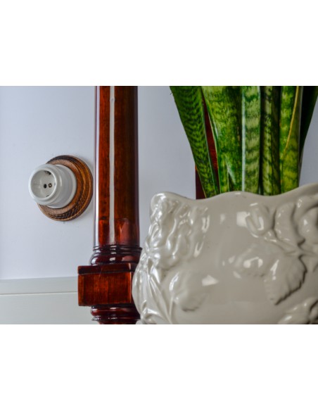 230V Steckdose mit Erdungsstift