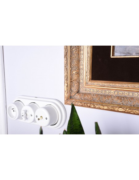 230V Steckdose mit Erdungsstift