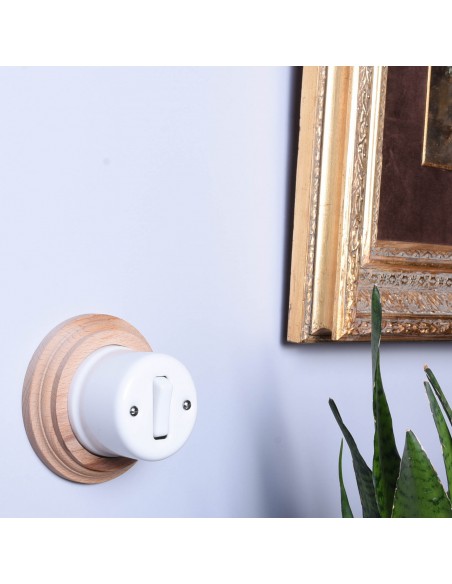 Einpoliger Tastschalter