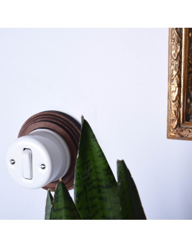 Einpoliger Tastschalter