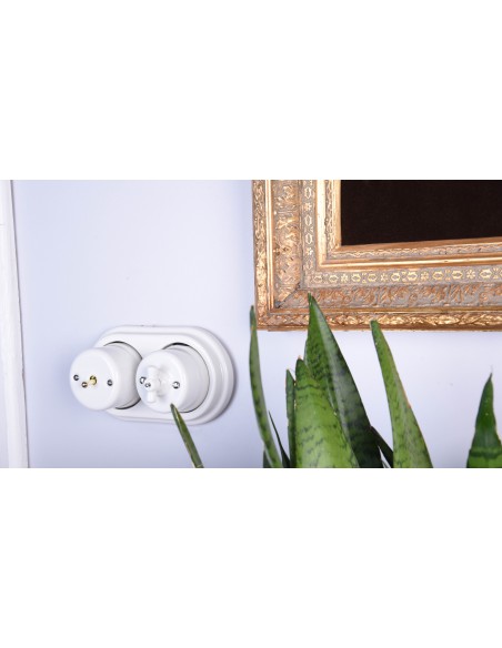 Einpoliger Tastschalter