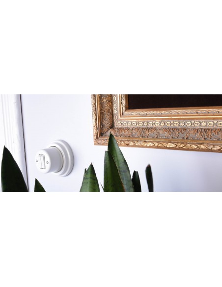 Einpoliger Tastschalter