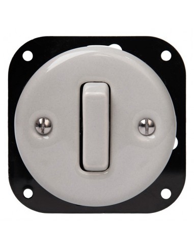 Einzelpoliger Taster mit Schalter